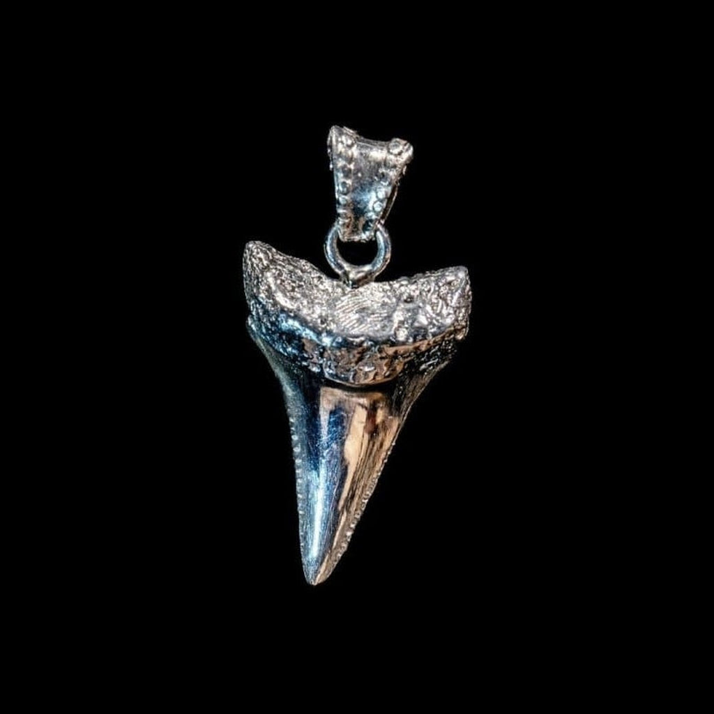 G.W. SHARK TOOTH (SILVER) - Rock and Jewel