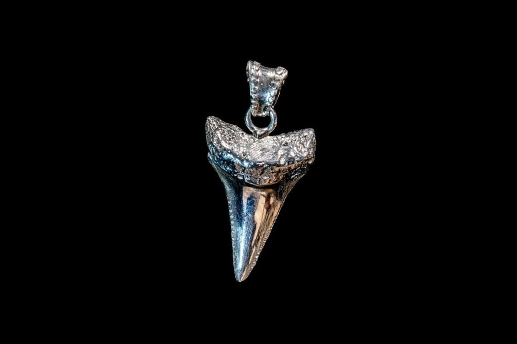 G.W. SHARK TOOTH (SILVER) - Rock and Jewel