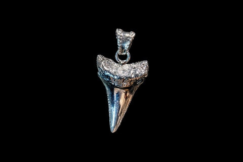 G.W. SHARK TOOTH (SILVER)