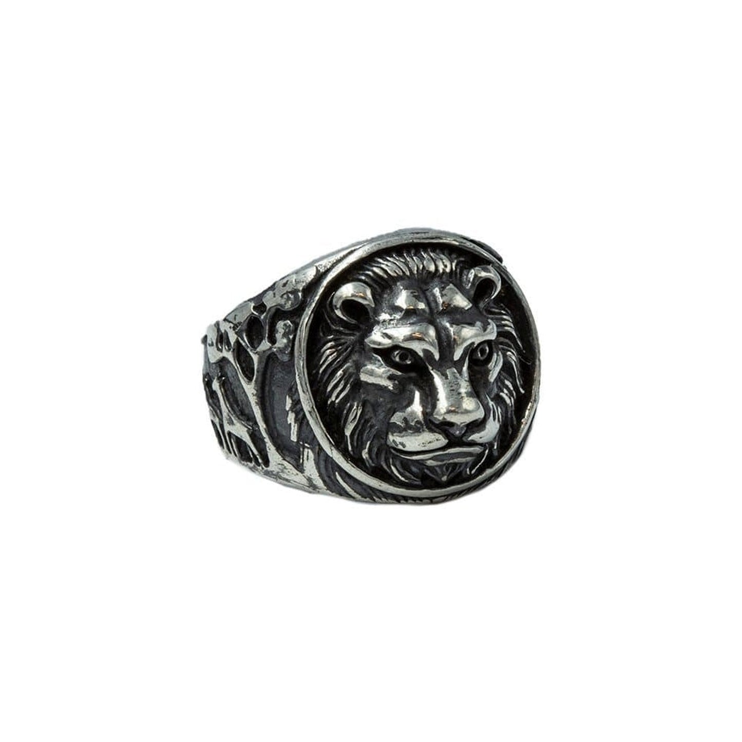 HAIRED LION - Rock and Jewel