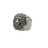 HAMMERED LION - Rock and Jewel
