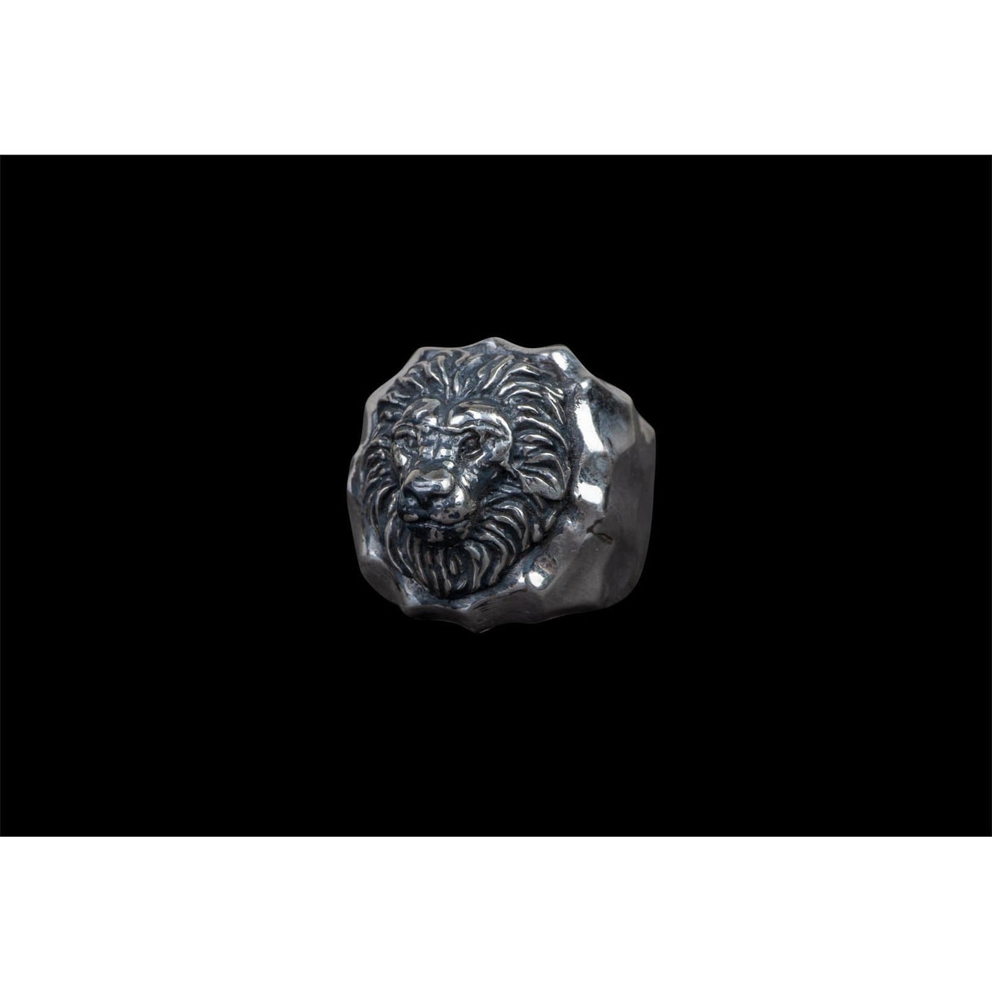 HAMMERED LION - Rock and Jewel
