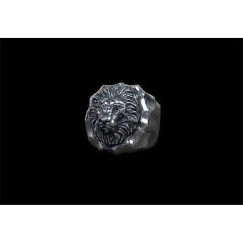 HAMMERED LION