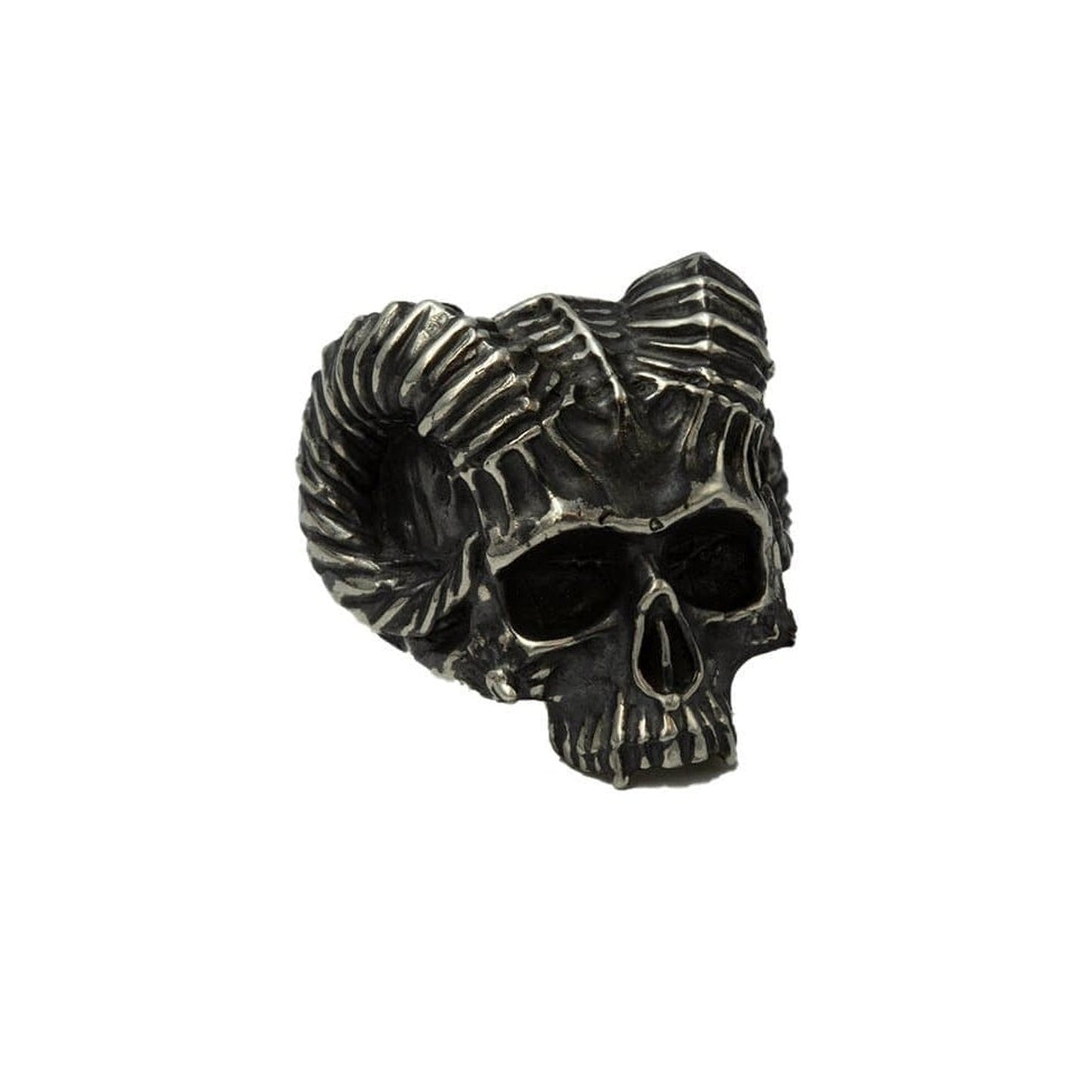 HORNED SKULL - Rock and Jewel