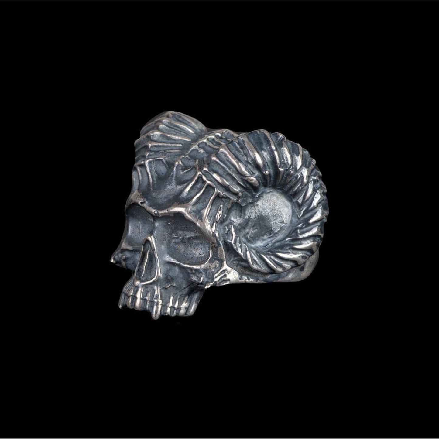 HORNED SKULL - Rock and Jewel