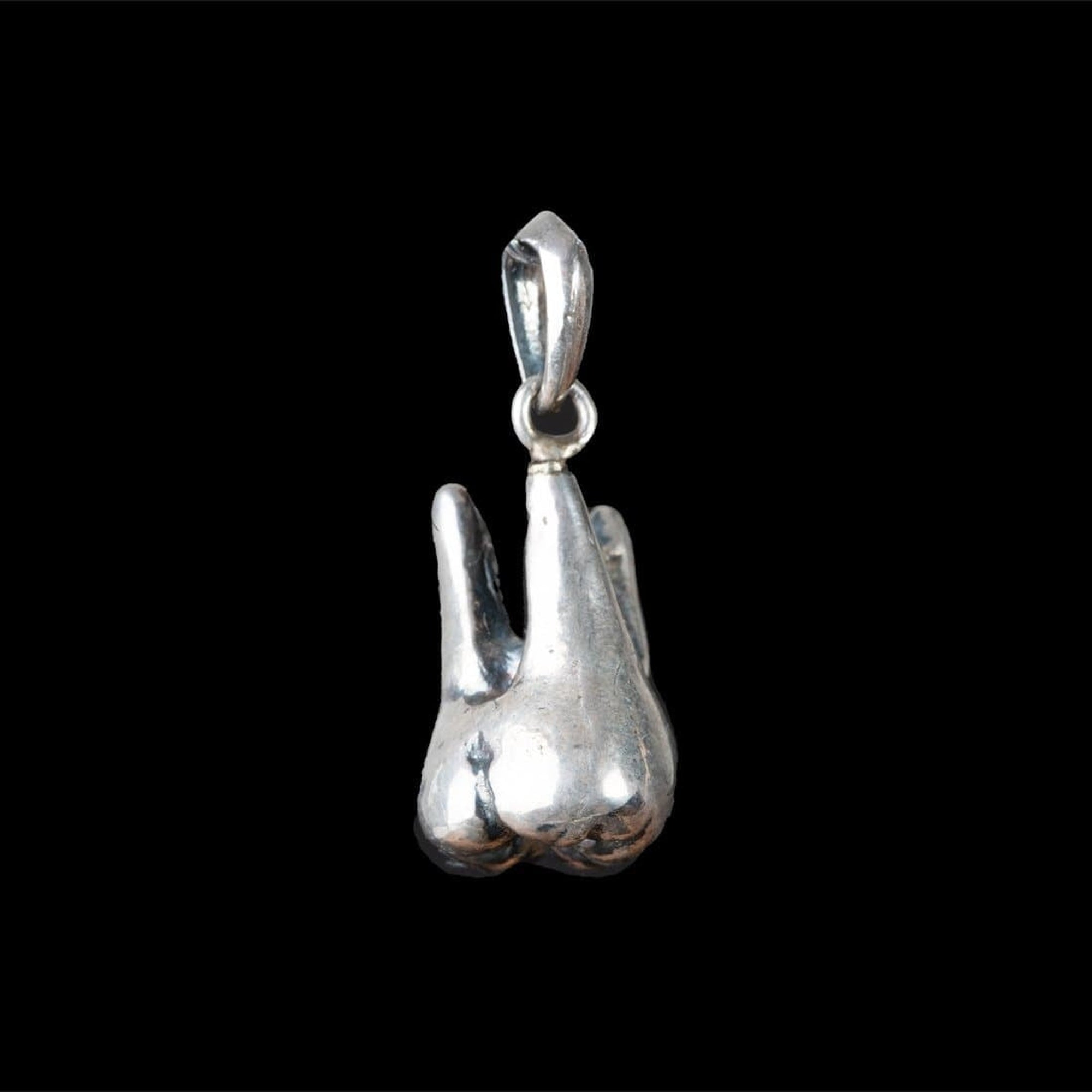 MOLAR TOOTH