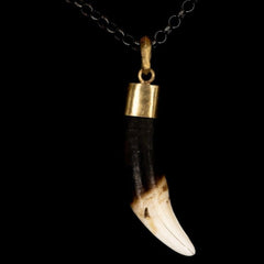 NATURAL WHITE & BROWN TUSK LIGA