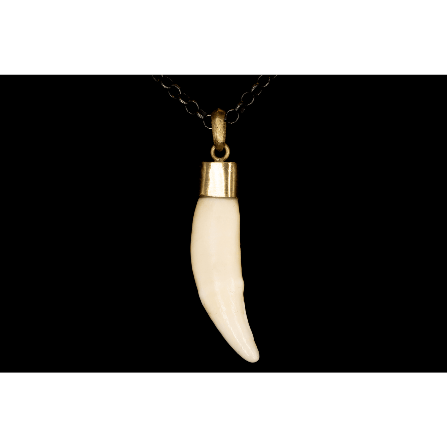NATURAL WHITE TUSK L - Rock and Jewel