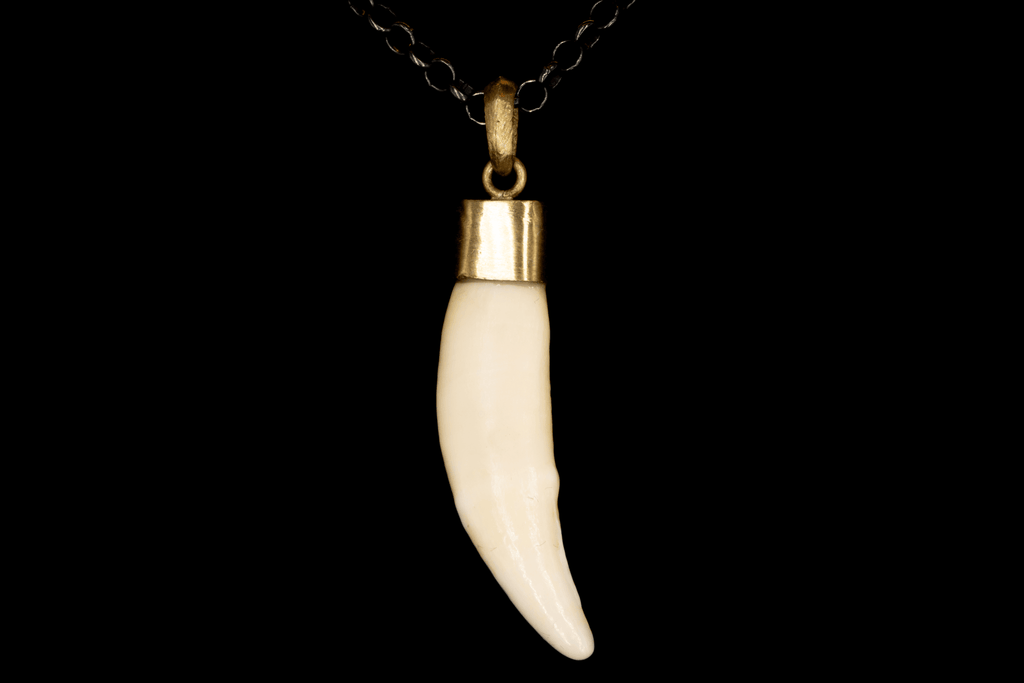 NATURAL WHITE TUSK L - Rock and Jewel