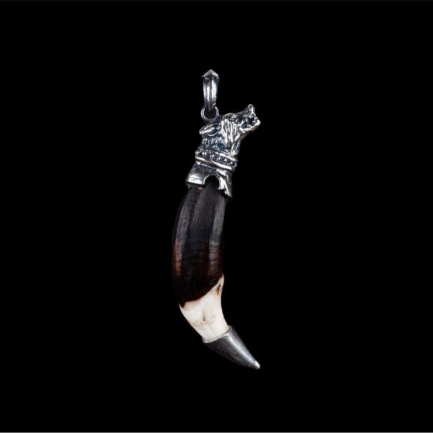 NATURAL WOLF TUSK - Rock and Jewel
