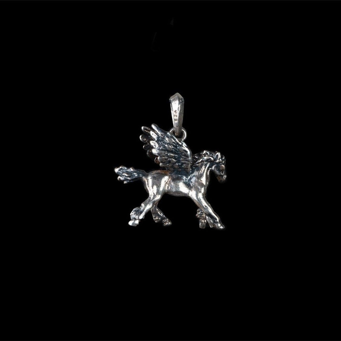 PEGASSUS - Rock and Jewel