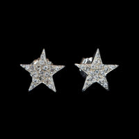 ROCK STAR EARRINGS - Rock and Jewel