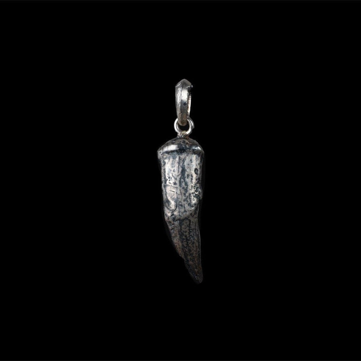 SALT WATER CROCODILE TOOTH - Rock and Jewel