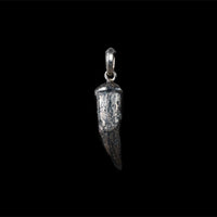 SALT WATER CROCODILE TOOTH - Rock and Jewel