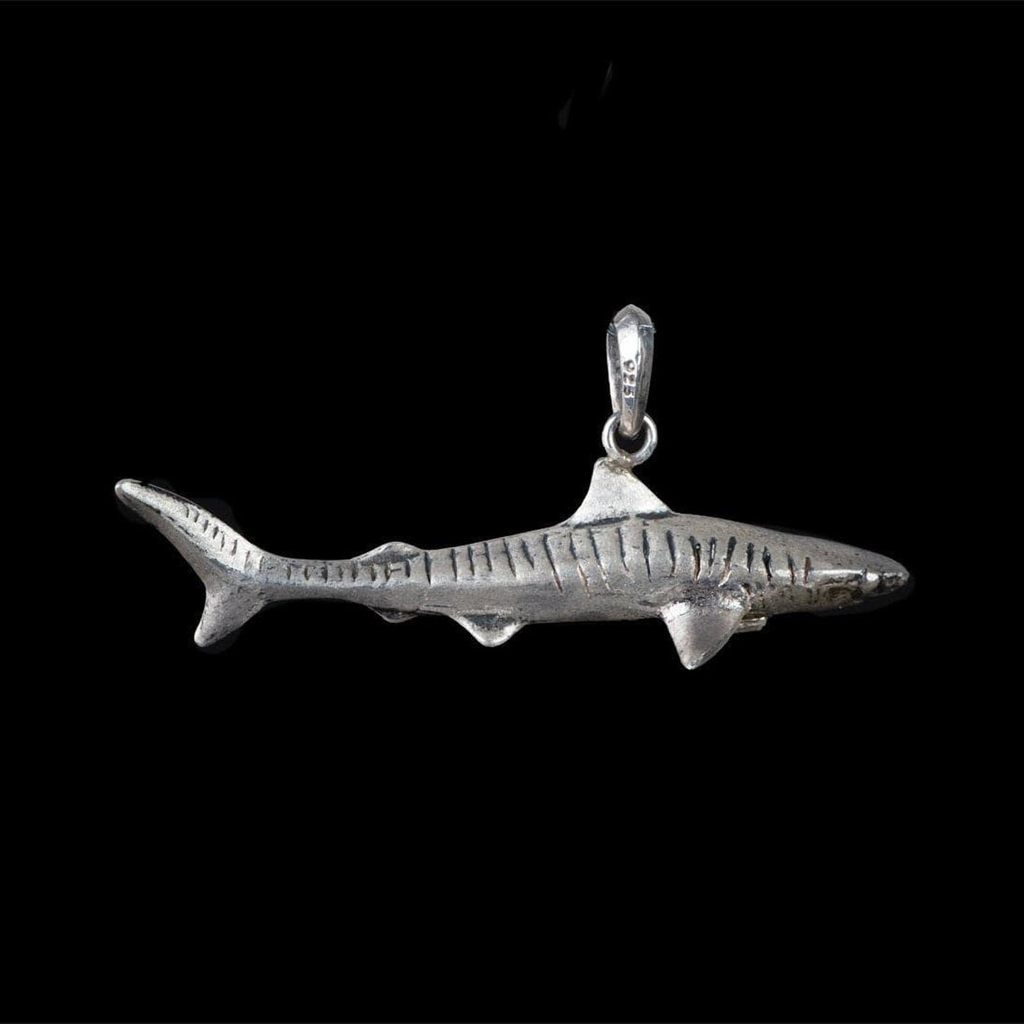 TIGER SHARK - Rock and Jewel