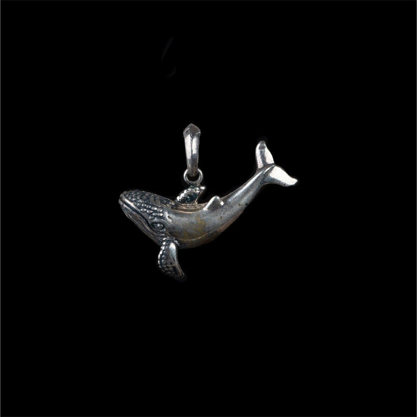 WHALE - Rock and Jewel