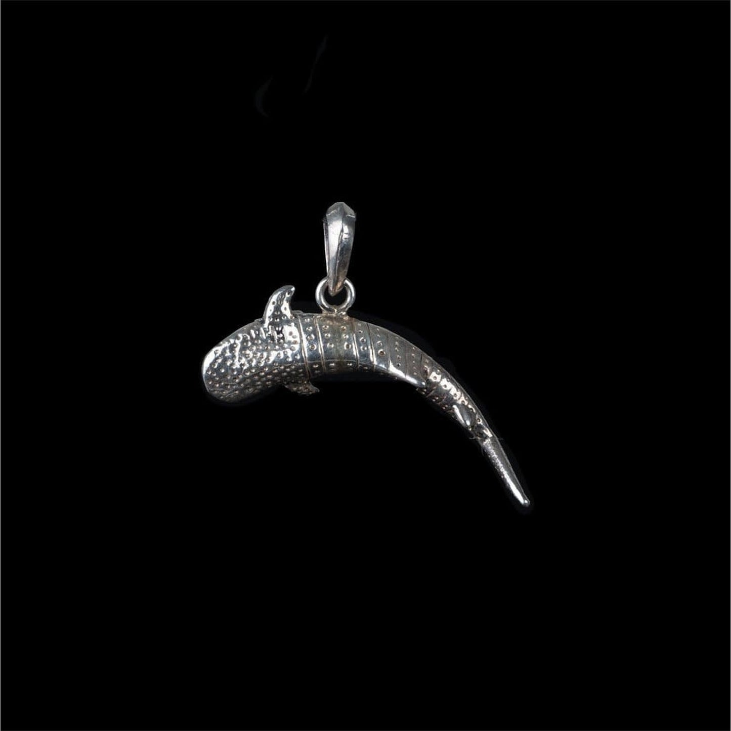 WHALE SHARK - Rock and Jewel