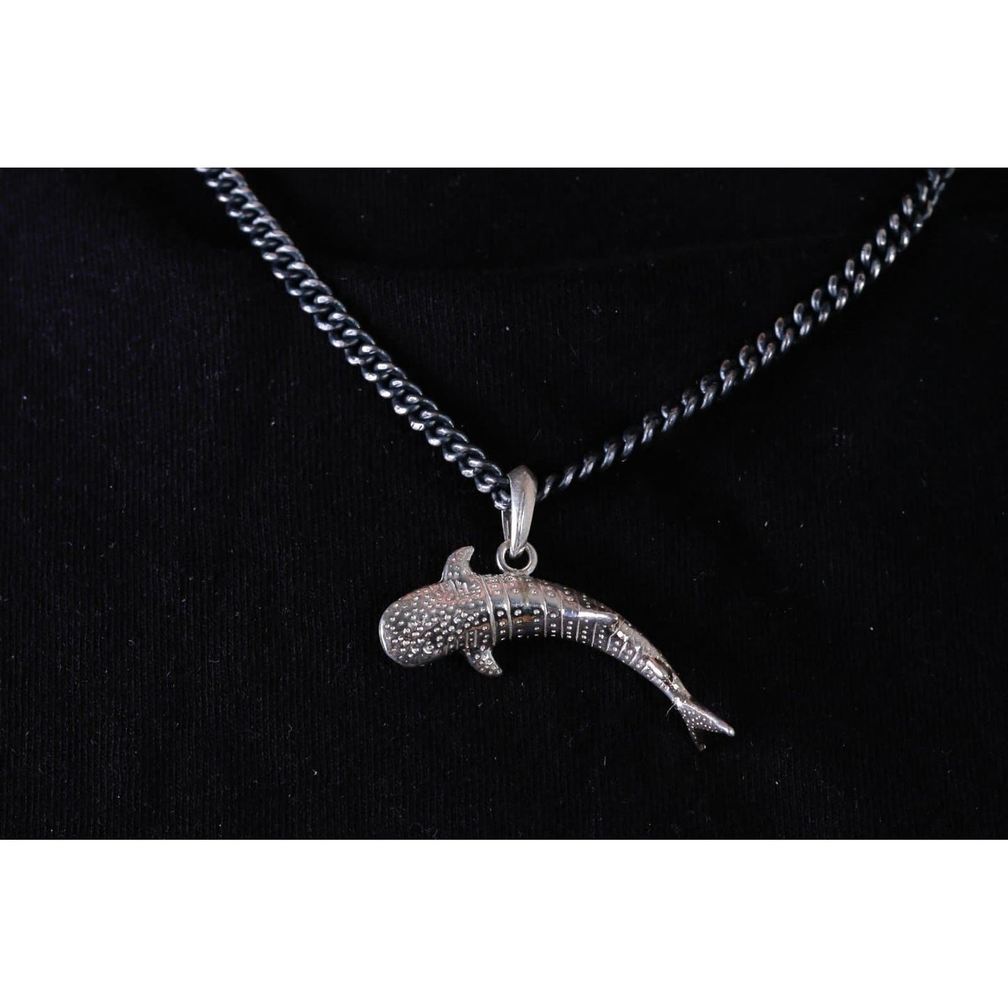 WHALE SHARK - Rock and Jewel