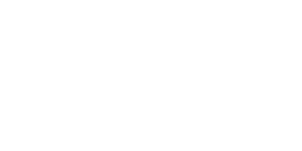 Logo Palacio de Hierro
